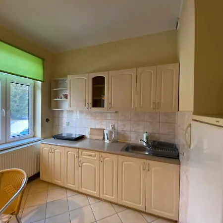 W Willi Cis Apartmán Krynica-Zdrój