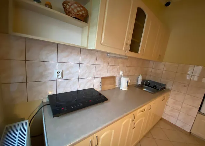 W Willi Cis * Krynica Zdroj